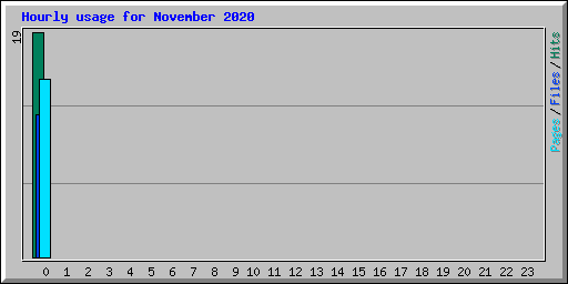 Hourly usage for November 2020